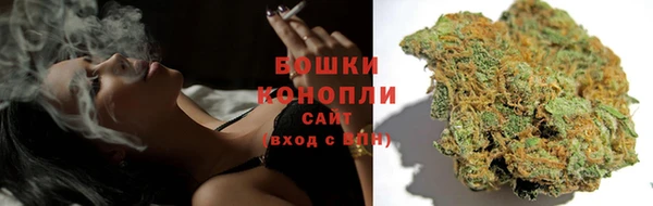 дживик Горняк