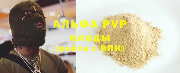 стафф Вязьма