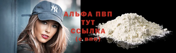 гидра Волоколамск
