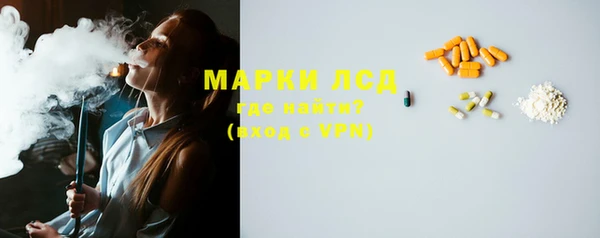стафф Вязьма