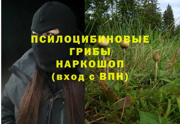крисы Вяземский