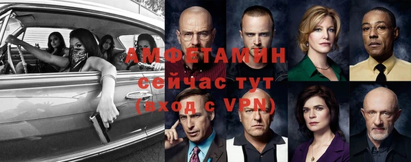 стафф Вязьма