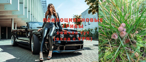 гидра Волоколамск